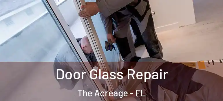 Door Glass Repair The Acreage - FL