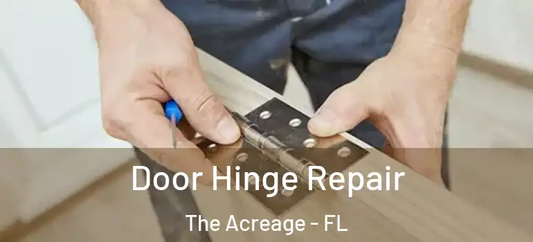 Door Hinge Repair The Acreage - FL