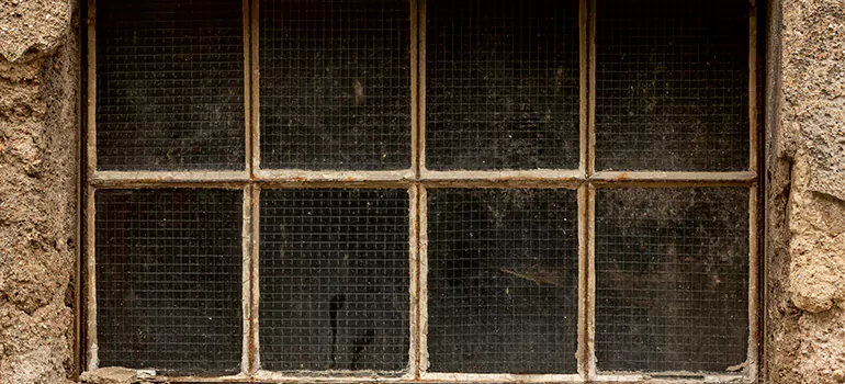 Traditional Double Front Doors in The Acreage, FL