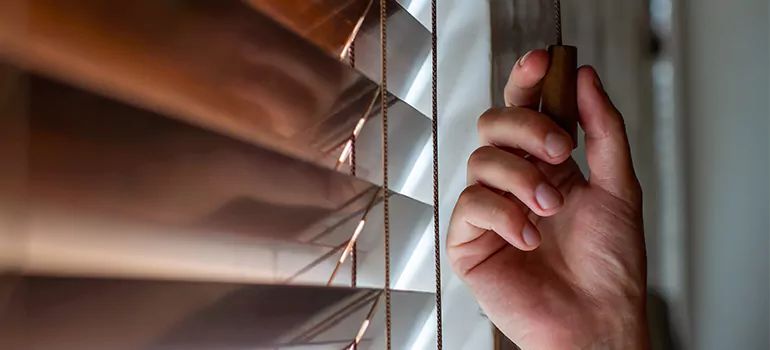 Double Roller Blinds in The Acreage, FL