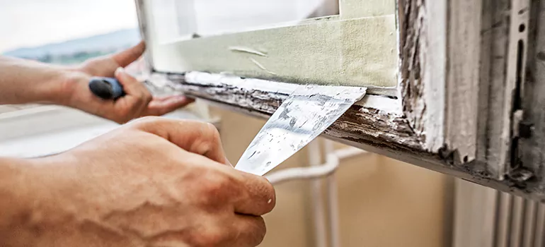 Exterior Window Frame Repair in The Acreage, FL