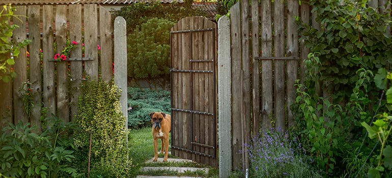 Winter Garden Garage Door Repair in The Acreage,[location field=state]