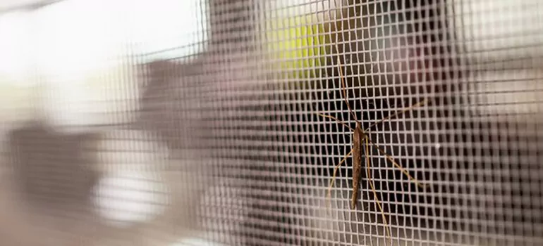 Repair Mosquito Mesh For Windows in The Acreage, FL